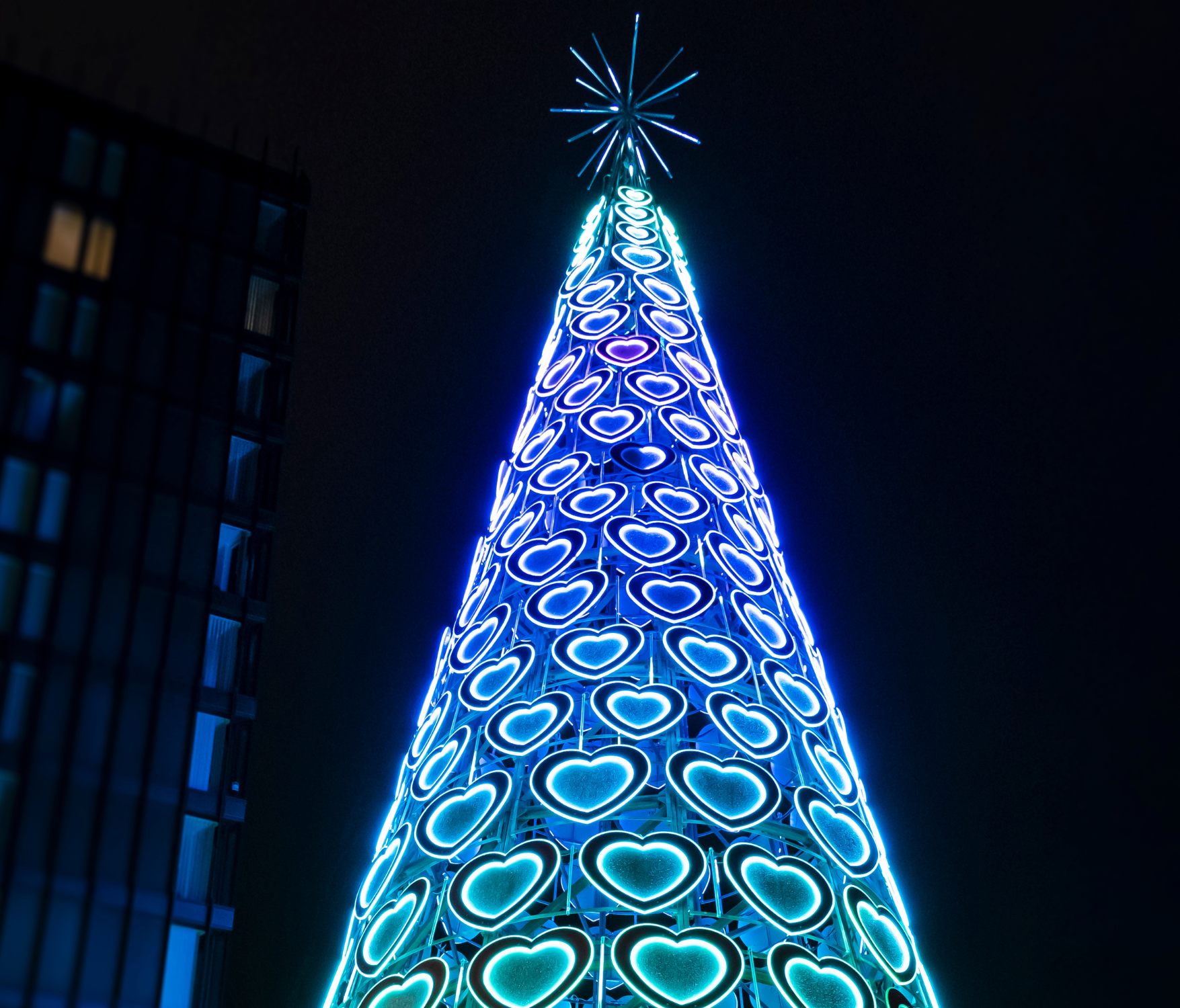 Liverpool's Christmas Tree that lights up with LEDs. This tree sits in Liverpool One Christmas Market.