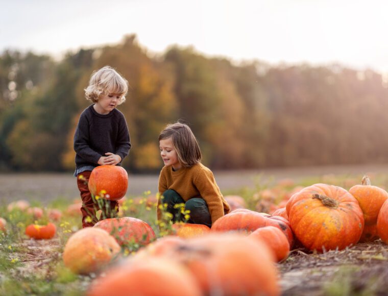 Two little boys having fun in a pumpkin patch during the Belgraviam Pumpkin Trail during London's Halloween Celebrations