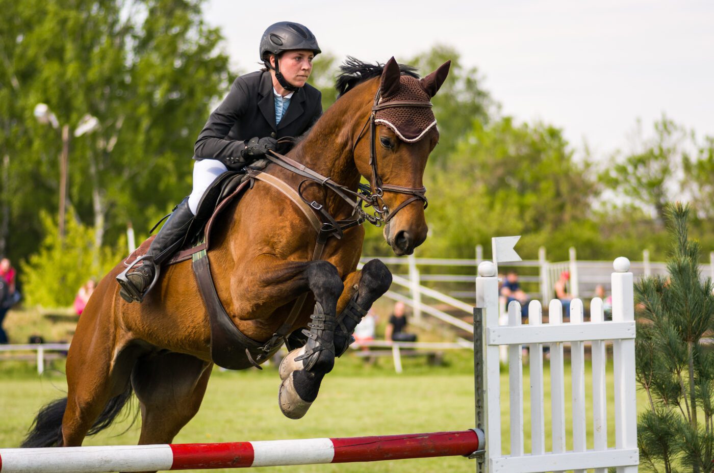 A rider in formal attire and a helmet jumps a brown horse over a red and white hurdle at an equestrian event, as if leaping through festive stalls at a Christmas market, with green trees and a white fence forming the picturesque backdrop.